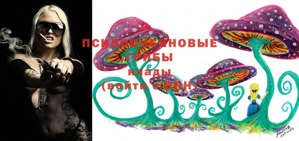 дмт Беломорск